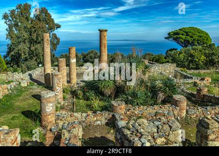 Panoramablick auf einen der Bezirke, Insula IV, des archäologischen Parks von Tindari. Tindari, Patti, Provinz Messina, Sizilien, Italien, Europa Stockfoto