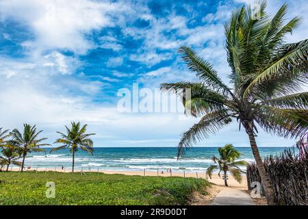 Blick auf den Strand von Imbassai, Bahia, Brasilien. Wunderschöner Strand im Nordosten mit einem Fluss und Palmen. Stockfoto