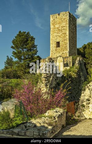 Die Ruinen der Burg Cantelmo, umgeben von einem Pinienwald an den Hängen von Monte Morrone, überblicken das historische Zentrum von Popoli. Abruzzen Stockfoto