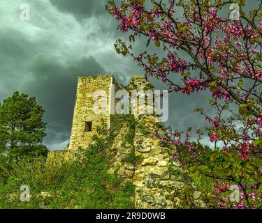 Die Ruinen der Burg Cantelmo, umgeben von einem Pinienwald an den Hängen von Monte Morrone, überblicken das historische Zentrum von Popoli. Abruzzen Stockfoto