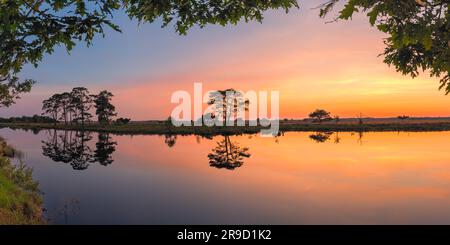 Ein breiter Panoramablick im Sommer 2:1 im Dwingelderveld National Park, einem Nationalpark in der niederländischen Provinz Drenthe, der sich ungefähr im Dreieck befindet Stockfoto