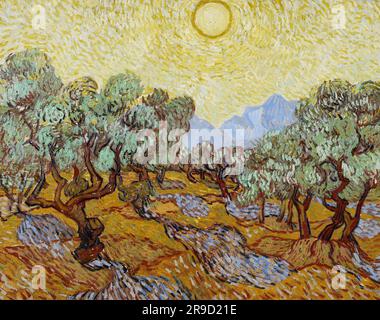 Vincent van Gogh – Olivenbäume mit gelbem Himmel und Sonne 1889. Stockfoto