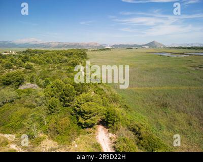 Blick auf das Naturschutzgebiet Ses Salinetes, S'Albufera, Mallorca, Spanien, 17. Juni 2023 Stockfoto