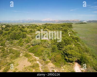 Blick auf das Naturschutzgebiet Ses Salinetes, S'Albufera, Mallorca, Spanien, 17. Juni 2023 Stockfoto