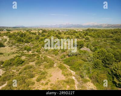 Blick auf das Naturschutzgebiet Ses Salinetes, S'Albufera, Mallorca, Spanien, 17. Juni 2023 Stockfoto