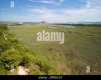 Blick auf das Naturschutzgebiet Ses Salinetes, S'Albufera, Mallorca, Spanien, 17. Juni 2023 Stockfoto