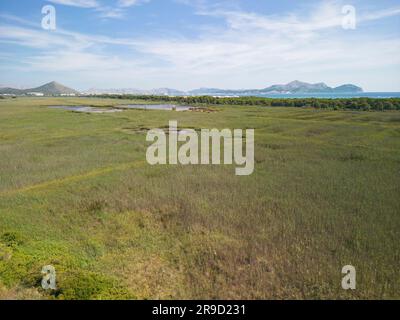 Blick auf das Naturschutzgebiet Ses Salinetes, S'Albufera, Mallorca, Spanien, 17. Juni 2023 Stockfoto