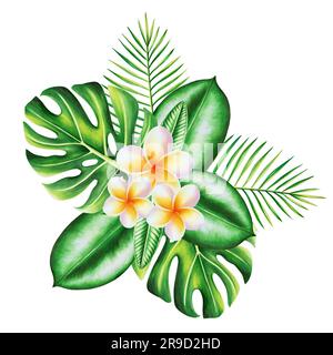 Aquarell realistische Darstellung eines tropischen Bouquet von Plumeria-Blüten mit Monstera und Palmenblättern isoliert auf weißem Hintergrund. Wunderschön botanisch Stockfoto