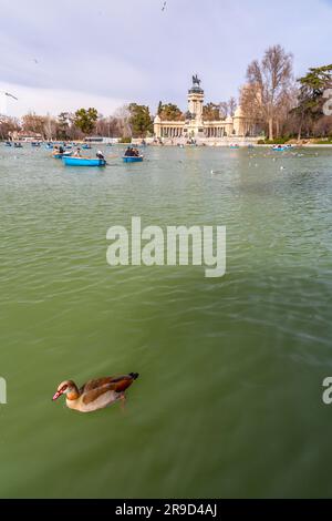 Madrid, Spanien - 16. FEBRUAR 2022: Ruderboote auf dem Teich im Buen Retiro Park in Madrid, Spanien. Stockfoto