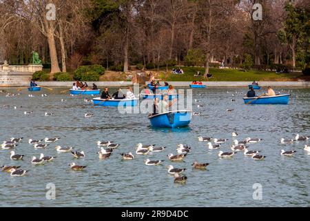 Madrid, Spanien - 16. FEBRUAR 2022: Ruderboote auf dem Teich im Buen Retiro Park in Madrid, Spanien. Stockfoto