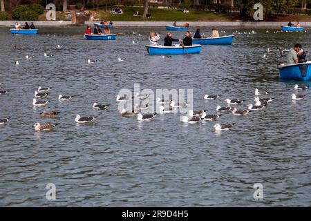 Madrid, Spanien - 16. FEBRUAR 2022: Ruderboote auf dem Teich im Buen Retiro Park in Madrid, Spanien. Stockfoto