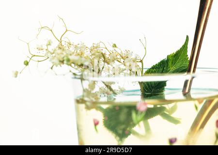 Zwerg-Holunderbeersaft, Holunderbeersirup in einem Glasbecher mit Blüten und Haufen Holunderbeeren und Holunderblättern, frischer Sommercocktail Stockfoto