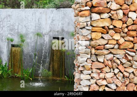Vegetation vor einer Steinmauer mit Ausschnitten im Grootbos Private Nature Reserve, Gansbaai, Westkap, Südafrika Stockfoto