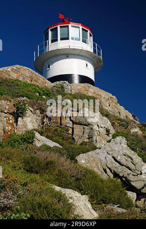 Leuchtturm in South Point, Table Mountain National Park, Cape Peninsula, Western Cape, Südafrika Stockfoto