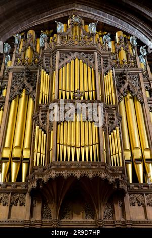 Orgelpfeifen in Chester Cathedral, Cheshire, Großbritannien Stockfoto