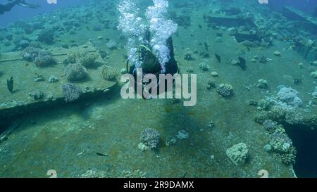 Rotes Meer, Ägypten. 24. Juni 2023. Taucher schwimmen über Bord mit überwucherten Fenstern mit Korallen auf der Fähre Salem Express Schiffswrack, Rotes Meer, Safaga, Ägypten (Bild: © Andrey Nekrasov/ZUMA Press Wire) NUR REDAKTIONELLE VERWENDUNG! Nicht für den kommerziellen GEBRAUCH! Stockfoto