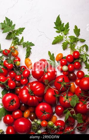 Verschiedene frische Tomaten mit grünen Blättern. Draufsicht Stockfoto