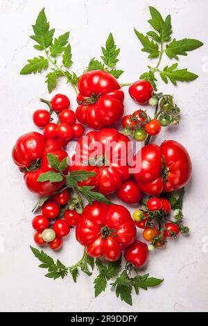 Verschiedene frische Tomaten mit grünen Blättern. Draufsicht Stockfoto