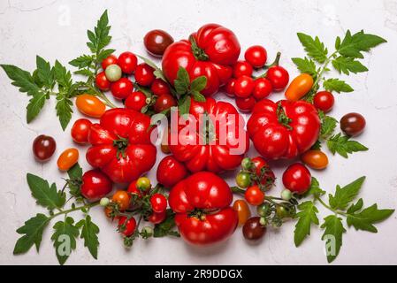 Verschiedene frische Tomaten mit grünen Blättern. Draufsicht Stockfoto
