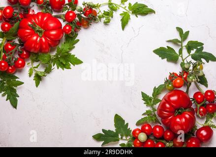 Verschiedene frische Tomaten mit grünen Blättern. Draufsicht Stockfoto