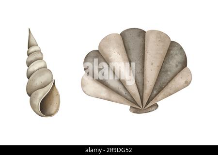 Aquarell Seashell. Perlenauster und Spiralschale. Design mit Unterwasserelementen. Zeichnung von Muscheln, Muscheln und Hahnenschalen. Handgezeichnet Stockfoto