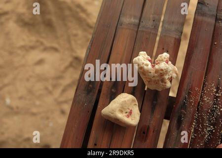 Muscheln rocken auf dem Sand Stockfoto