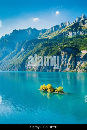 Blick auf den walisischen See mit einer kleinen Insel (Schnittlauchinsel) und die Berge Churfirsten und Leistchamm im Hintergrund. Canton St. Gallen, Schweiz Stockfoto