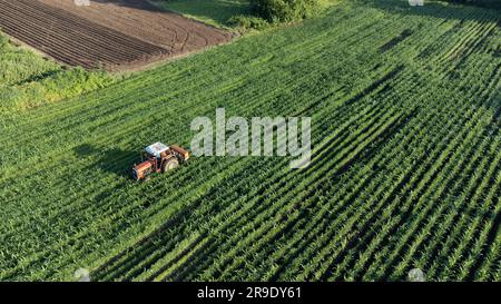 Ackerfeld aus der Vogelperspektive. Traktor, der sich um das Produkt auf dem Feld kümmert. Mit selektivem Fokus. Stockfoto