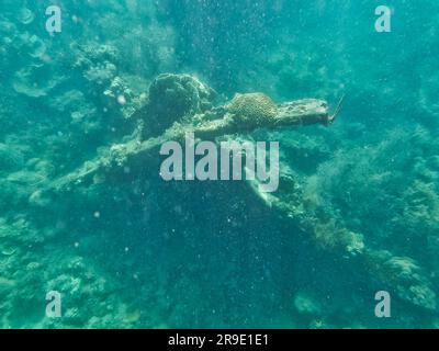 Japanisches Schiffswrack, Coron-Inseln, Palawan, Philippinen, Asien Stockfoto