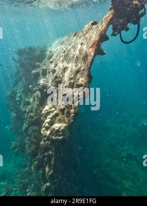 Japanisches Schiffswrack, Coron-Inseln, Palawan, Philippinen, Asien Stockfoto