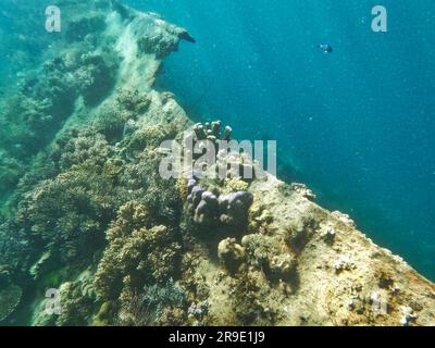 Japanisches Schiffswrack, Coron-Inseln, Palawan, Philippinen, Asien Stockfoto