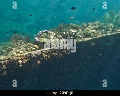 Japanisches Schiffswrack, Coron-Inseln, Palawan, Philippinen, Asien Stockfoto