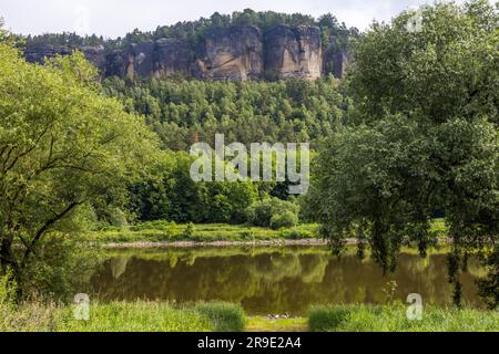 Elbe bei Krippen mit Elbsandsteinformationen. Bad Schandau, Deutschland Stockfoto