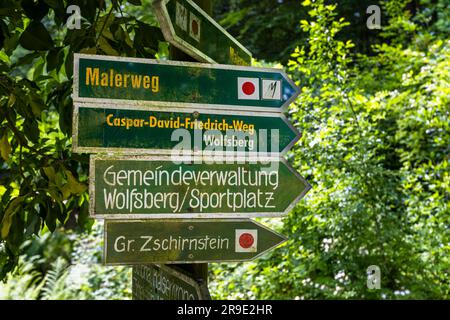 Wegweiser zu Wanderwegen in der Sächsischen Schweiz. Zwei Wanderwege führen Wanderer in die Fußstapfen der Maler der Romantik. Der Caspar David Friedrich Trail ist Teil des Malerweges bei Krippen Stockfoto