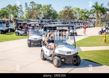 Golfspieler, die sich für ein Golfturnier, Quail Creek Country Club, Naples, Florida, USA, entschieden Stockfoto