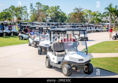 Golfspieler, die sich für ein Golfturnier, Quail Creek Country Club, Naples, Florida, USA, entschieden Stockfoto