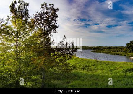 Der Okeechobee-See ist von üppigem Grün in Florida, den USA, umgeben Stockfoto