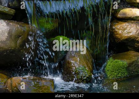 Nahaufnahme eines kleinen Wasserfalls, der über Moos bedeckte Felsen läuft. Stockfoto