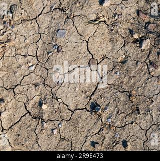 Boden rissig im Hintergrund. Top-down-Aufnahme von sehr trockener Erde mit Tränen und Steinen. Wasserknappheitskonzept. Das Konzept der globalen Erwärmung. Stockfoto