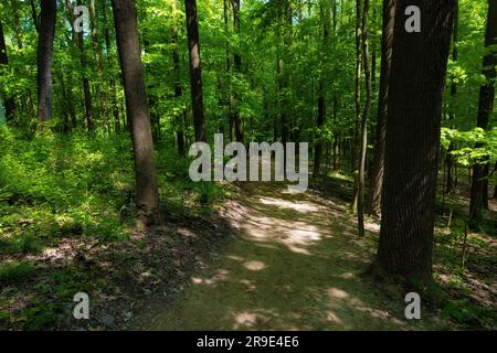 Wandern zu den Blue Hen Falls im Cuyahoga Valley-Nationalpark in Ohio, USA. Stockfoto