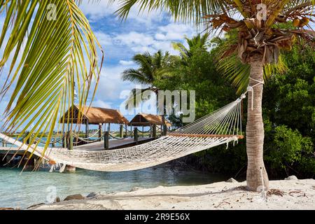 Entspannender Blick auf das Küstenparadies Stockfoto