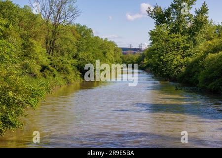 Sehenswürdigkeiten entlang des Towpath Trail, wo Maultiere Boote ziehen, die Güter und Menschen auf dem Ohio # Erie Canal hinauf und hinunter transportieren. Stockfoto