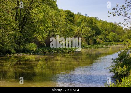 Sehenswürdigkeiten entlang des Towpath Trail, wo Maultiere Boote ziehen, die Güter und Menschen auf dem Ohio # Erie Canal hinauf und hinunter transportieren. Stockfoto