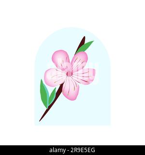 Sakura-Kirschblüte für das Design der Blüte Stock Vektor