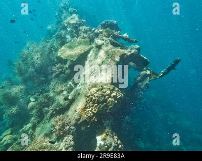 Japanisches Schiffswrack, Coron-Inseln, Palawan, Philippinen, Asien Stockfoto