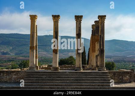 Marokko. Volubilis ist eine teilweise ausgegrabene Berberstadt in Marokko, die sich in der Nähe der Stadt Meknes befindet und gemeinhin als die antike Hauptstadt der Stadt gilt Stockfoto