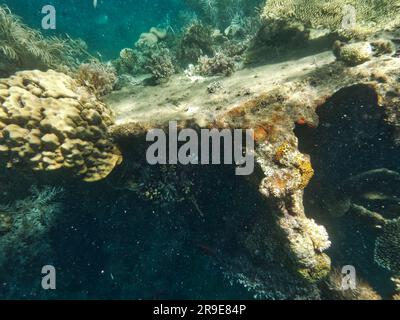 Japanisches Schiffswrack, Coron-Inseln, Palawan, Philippinen, Asien Stockfoto