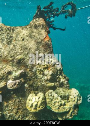 Japanisches Schiffswrack, Coron-Inseln, Palawan, Philippinen, Asien Stockfoto