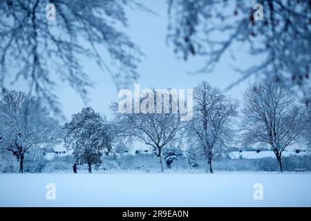 Ein schneebedeckter Park in Ilford, East London. Stockfoto
