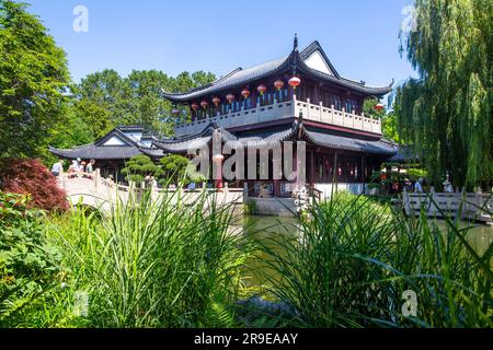 Das Teehaus bei der BUGA Mannheim 2023. Es ist das größte chinesische Teehaus in Europa und eine der Hauptattraktionen in t Stockfoto